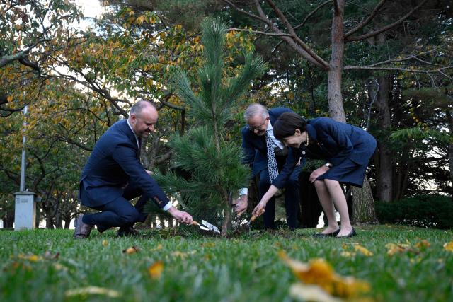 Japan's Prime Minister Sanae Takaichi (R), Australia's Prime Minister Anthony Albanese (C), and Australian Capital Territory Chief Minister Andrew Barr (L) take part in a tree planting ceremony at the Canberra Nara Peace Park in Canberra on May 4, 2026. (Photo by Saeed KHAN / AFP)