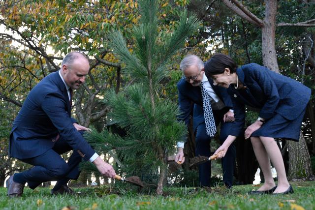 Japan's Prime Minister Sanae Takaichi (R), Australia's Prime Minister Anthony Albanese (C), and Australian Capital Territory Chief Minister Andrew Barr (L) take part in a tree planting ceremony at the Canberra Nara Peace Park in Canberra on May 4, 2026. (Photo by Saeed KHAN / AFP)