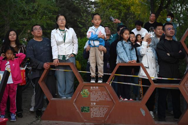 People watch a free music concert in a park in Beijing on May 4, 2026, the fourth day of a five-day national May Day holiday. (Photo by GREG BAKER / AFP)