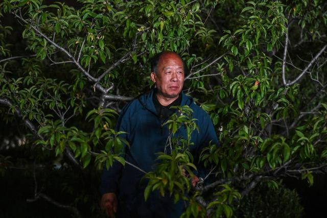A man watches a free music concert in a park in Beijing on May 4, 2026, the fourth day of a five-day national May Day holiday. (Photo by GREG BAKER / AFP)
