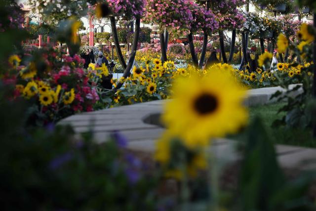 People visit the Boulevard Flowers Exhibition in the Saudi capital Riyadh on May 4, 2026. (Photo by Fayez Nureldine / AFP)
