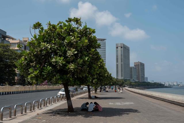 People take shelter under a tree at a sea front in Mumbai on May 5, 2026. (Photo by Punit PARANJPE / AFP)