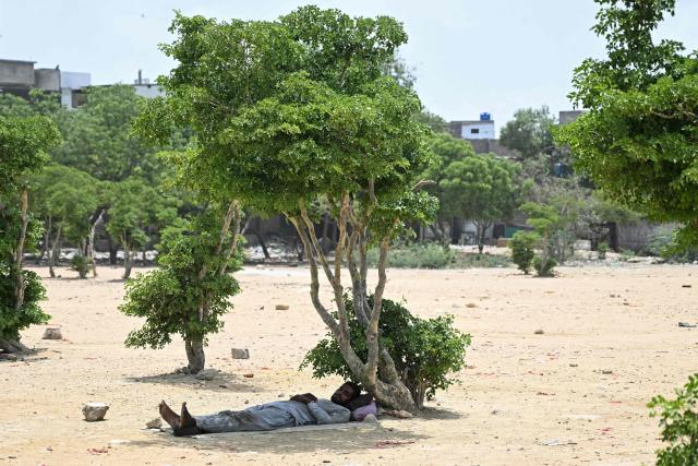 A man takes a nap under a tree on a hot summer day in Karachi on May 5, 2026. (Photo by Rizwan TABASSUM / AFP)