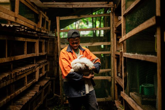 Yves Rubarabura holds a rabbit in a cage where he will collect waste to transport it to the digester in order to produce clean energy in Goma on April 20, 2026. Most of the city's nearly one million people cannot afford to use electricity and mostly depend on charcoal, called makala, for cooking and heating.
Some people are switching to biogas, a renewable energy source that is cheaper and locally produced.
Biogas is produced by the decomposition of organic matter.
It has been made in Goma since 2016 by Umoja, a local company whose stated aim is to offer an alternative to firewood, which destroys forests. (Photo by Jospin Mwisha / AFP)