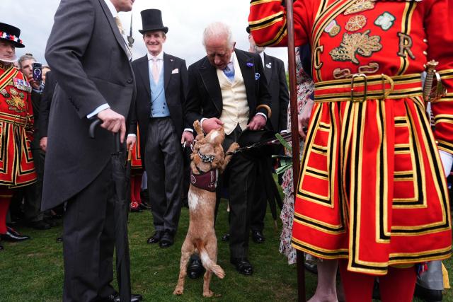 Britain's King Charles III talks to hearing dog Vegas, trained by the Hearing Dogs for Deaf People charity, as he meets guests during a Royal Garden Party at Buckingham Palace, in London, on May 6, 2026. (Photo by Aaron Chown / POOL / AFP)