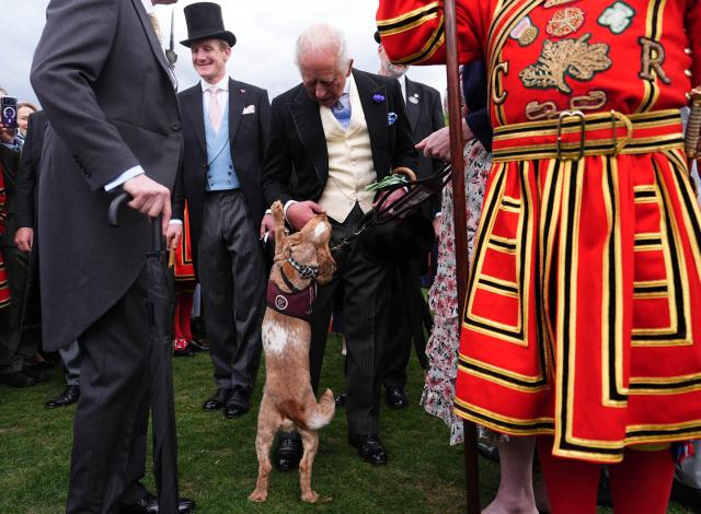 Britain's King Charles III talks to hearing dog Vegas, trained by the Hearing Dogs for Deaf People charity, as he meets guests during a Royal Garden Party at Buckingham Palace, in London, on May 6, 2026. (Photo by Aaron Chown / POOL / AFP)