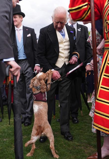 Britain's King Charles III talks to hearing dog Vegas, trained by the Hearing Dogs for Deaf People charity, as he meets guests during a Royal Garden Party at Buckingham Palace, in London, on May 6, 2026. (Photo by Aaron Chown / POOL / AFP)