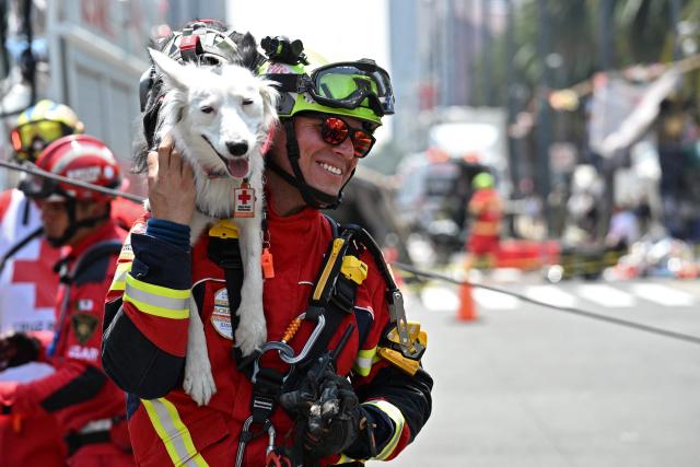 A rescue dog and its handler rest after locating simulated victims in a supposedly collapsed building by the Monumento a la Revolucion during an earthquake drill in Mexico City on May 6, 2026. (Photo by Yuri CORTEZ / AFP)