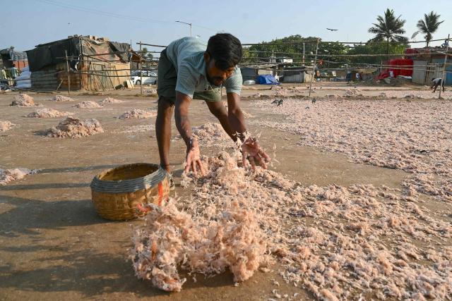 A worker scatters fresh shrimps for drying on a shore along the Arabian sea in Mumbai on May 8, 2026. (Photo by Indranil Mukherjee / AFP)
