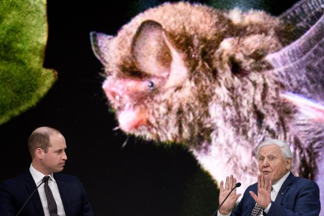 (FILES) Britain's Prince William (L) and British naturalist, documentary maker and broadcaster David Attenborough attend a conversation during the World Economic Forum (WEF) annual meeting on January 22, 2019 in Davos, eastern Switzerland. David Attenborough, a leading voice on climate change and biodiversity loss whose landmark documentaries transformed popular understanding of the natural world for a global audience, marks his 100th birthday on May 8, 2026. (Photo by Fabrice COFFRINI / AFP)
