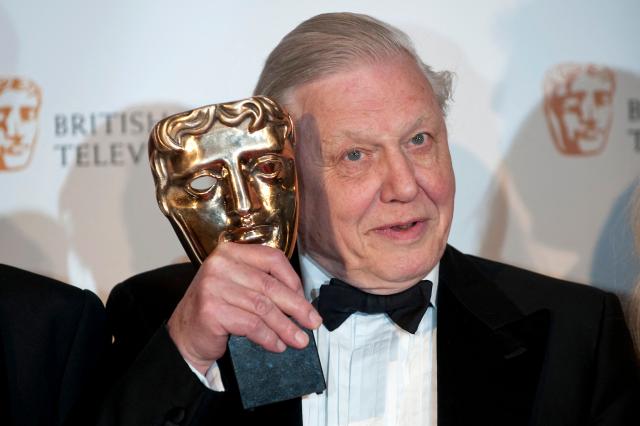 (FILES) British natural history film-maker David Attenborough poses with his Specialist Factual British Academy Television Award (BAFTA) for 'Life in Cold Blood' in central London on April 26, 2009. David Attenborough, a leading voice on climate change and biodiversity loss whose landmark documentaries transformed popular understanding of the natural world for a global audience, marks his 100th birthday on May 8, 2026. (Photo by Ben STANSALL / AFP)