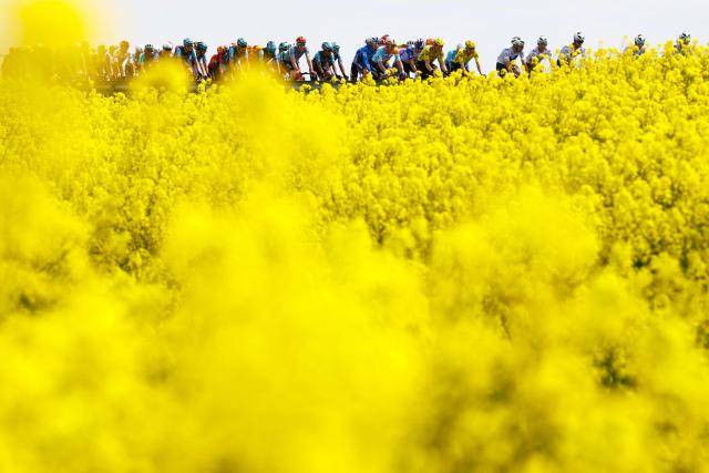 The pack rides during the 1st stage of the Giro d'Italia 2026 - Tour of Italy cycling race between Nessebar and Burgas, Bulgaria, on May 8, 2026. (Photo by Luca Bettini / AFP)