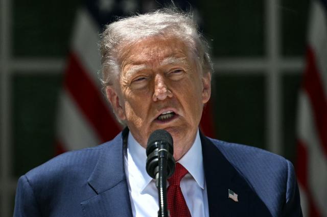 US President Donald Trump speaks during a Mother's Day luncheon in the Rose Garden of the White House in Washington, DC, on May 8, 2026. (Photo by Jim WATSON / AFP)