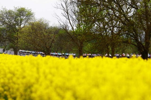 The pack rides during the 2nd stage of the Giro d'Italia 2026 - Tour of Italy cycling race between Burgas and Veliko Tarnovo, Bulgaria, on May 9, 2026. (Photo by Luca Bettini / AFP)