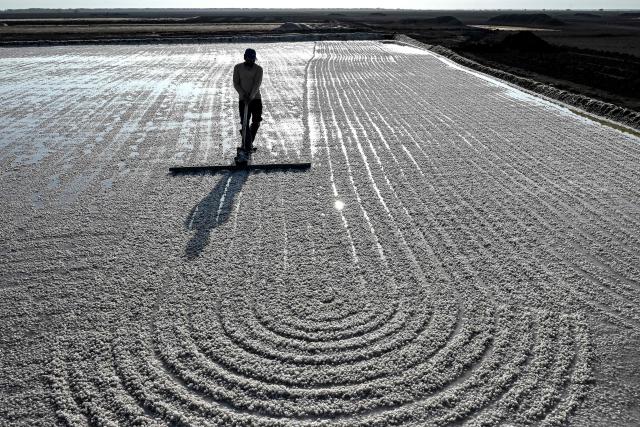 A worker harvests salt at the Little Rann of Kutch (LRK) region of Gujarat on April 29, 2026. India faces challenging heatwaves each year, but few places endure conditions as searing as the country's western desert salt pans, where workers rely on simple techniques to survive almost unbearable temperatures. In Gujarat's Little Rann of Kutch summer temperatures routinely cross 45 degrees Celsius (113 Fahrenheit), and can climb to 4748C. Up to 50,000 workers spend eight months on the remote salt pans without electricity or healthcare, relying on a tanker to deliver drinking and washing water every 25 days. (Photo by Shammi MEHRA / AFP) / TO GO WITH 'India-Climate-Health' FOCUS