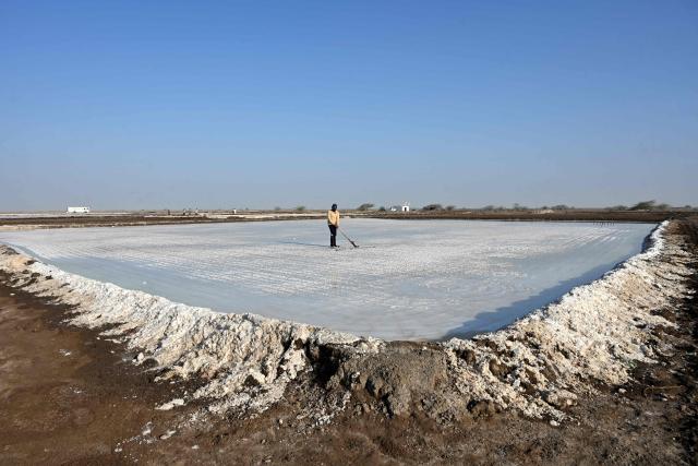 A worker harvests salt at the Little Rann of Kutch (LRK) region of Gujarat on April 29, 2026. India faces challenging heatwaves each year, but few places endure conditions as searing as the country's western desert salt pans, where workers rely on simple techniques to survive almost unbearable temperatures. In Gujarat's Little Rann of Kutch summer temperatures routinely cross 45 degrees Celsius (113 Fahrenheit), and can climb to 4748C. Up to 50,000 workers spend eight months on the remote salt pans without electricity or healthcare, relying on a tanker to deliver drinking and washing water every 25 days. (Photo by Shammi MEHRA / AFP) / TO GO WITH 'India-Climate-Health' FOCUS