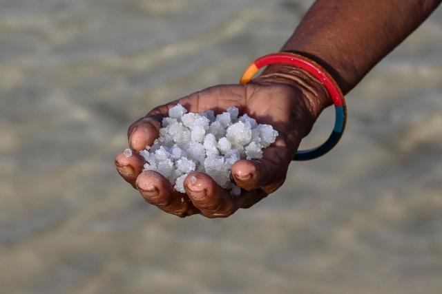 This photograph taken on April 29, 2026 shows a salt pan worker holding a handful of harvested salt at an alkali flat in the Little Rann of Kutch region in Gujarat. India faces challenging heatwaves each year, but few places endure conditions as searing as the country's western desert salt pans, where workers rely on simple techniques to survive almost unbearable temperatures. In Gujarat's Little Rann of Kutch summer temperatures routinely cross 45 degrees Celsius (113 Fahrenheit), and can climb to 4748C. Up to 50,000 workers spend eight months on the remote salt pans without electricity or healthcare, relying on a tanker to deliver drinking and washing water every 25 days. (Photo by Shammi MEHRA / AFP) / TO GO WITH 'India-Climate-Health' FOCUS