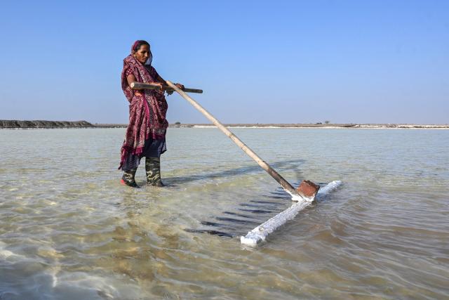 This photograph taken on April 29, 2026 shows a salt pan worker raking harvested salt at an alkali flat in the Little Rann of Kutch region in Gujarat. India faces challenging heatwaves each year, but few places endure conditions as searing as the country's western desert salt pans, where workers rely on simple techniques to survive almost unbearable temperatures. In Gujarat's Little Rann of Kutch summer temperatures routinely cross 45 degrees Celsius (113 Fahrenheit), and can climb to 4748C. Up to 50,000 workers spend eight months on the remote salt pans without electricity or healthcare, relying on a tanker to deliver drinking and washing water every 25 days. (Photo by Shammi MEHRA / AFP) / TO GO WITH 'India-Climate-Health' FOCUS
