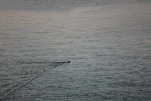 A man swims off the beach in the ancient Egyptian city of Alexandria, on the Mediterranean coast on May 10, 2026. (Photo by Ludovic MARIN / AFP)