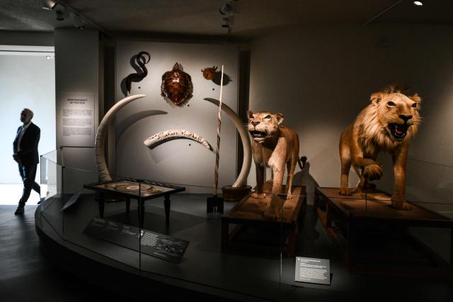 This photograph shows gift objects received by the former French president Francois Mitterrand, in the gift museum during the inauguration ceremony of the Cité des présents (former Musée du septennat) in Château-Chinon, central-eastern France, on May 10, 2026. After seven years of work, the new complex, renamed Cité des présent, was inaugurated on May 10, the 45th anniversary of the 1981 presidential election. The complex includes a fashion museum and a gift museum, which displays nearly 350 objects received by Francois Mitterrand during visits to 86 countries during his two seven-year terms (1981-1995). (Photo by ARNAUD FINISTRE / AFP)