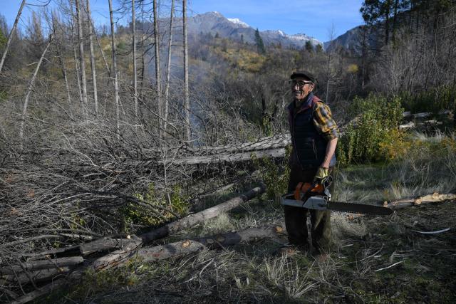 Victor Diaz, identified by health authorities as patient zero in the 2018-2019 hantavirus outbreak that killed 11 people, including his wife, uses a chainsaw at his farm in the La Rinconada area, near Epuyen, Chubut province, Argentina, on May 9, 2026. (Photo by JUAN MABROMATA / AFP)
