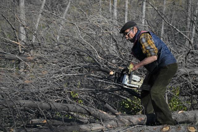 Victor Diaz, identified by health authorities as patient zero in the 2018-2019 hantavirus outbreak that killed 11 people, including his wife, uses a chainsaw at his farm in the La Rinconada area, near Epuyen, Chubut province, Argentina, on May 9, 2026. (Photo by JUAN MABROMATA / AFP)