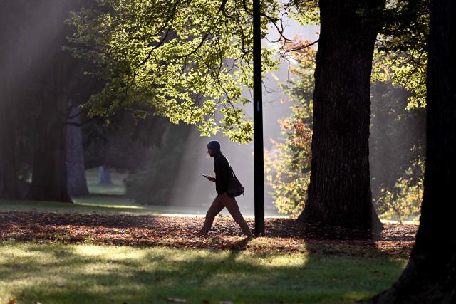 A man walks to work on a cool autumn morning in Melbourne's Fitzroy Gardens on May 13, 2026. (Photo by William WEST / AFP)