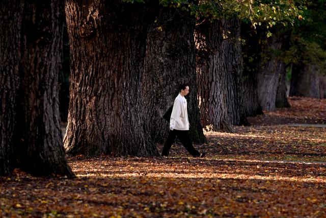 A woman walks to work on a cool autumn morning in Melbourne's Fitzroy Gardens on May 13, 2026. (Photo by William WEST / AFP)
