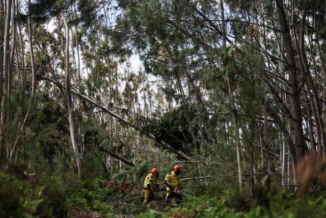 Civil protection workers use chainsaws to cut trees that were broken during storm Kristin at Marinha Grande, central Portugal, on May 7, 2026. In a forest in central Portugal, the whirring of chainsaws sets the pace for the teams working to clear paths blocked by thousands of trees felled during the storms earlier this year, in a race against time as fire season approaches. Using heavy machinery, forestry workers and military personnel coordinate to push the felled trunks to the sides of the paths to reopen access to the Marinha Grande forest, which is essential for the rapid intervention of emergency services. (Photo by PATRICIA DE MELO MOREIRA / AFP) / TO GO WITH STORY BY LEVI FERNANDES