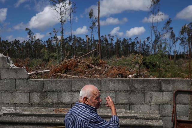 Manuel Calhanas, a 79-year-old retiree, shows the backyard of his house located in the middle of a eucalyptus and pine trees forest at Marinha Grande, central Portugal, on May 7, 2026. In a forest in central Portugal, the whirring of chainsaws sets the pace for the teams working to clear paths blocked by thousands of trees felled during the storms earlier this year, in a race against time as fire season approaches. Using heavy machinery, forestry workers and military personnel coordinate to push the felled trunks to the sides of the paths to reopen access to the Marinha Grande forest, which is essential for the rapid intervention of emergency services. (Photo by PATRICIA DE MELO MOREIRA / AFP) / TO GO WITH STORY BY LEVI FERNANDES