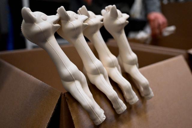 This photograph shows unpainted Sophie la girafe (Sophie the Giraffe) toys made by French baby care products and toys company Vulli in its new production site in Saint-Nabord, north-eastern France, on May 12, 2026. Vulli, which has made "Made in France" its hallmark, has admitted on May 4, 2026 manufacturing giraffe toys in China, as revealed in an investigation by the online media outlet Mediapart, but insists that this is a temporary situation. The French Directorate-General for Competition, Consumer Affairs and Fraud Control (DGCCRF) has launched an investigation as claiming a product to be of French origin when it is not may constitute a misleading commercial practise, punishable by a criminal fine of up to 10% of turnover. (Photo by Jean-Christophe VERHAEGEN / AFP)