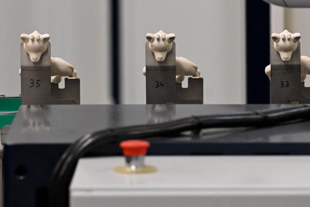 This photograph shows Sophie la girafe (Sophie the Giraffe) toys made by French baby care products and toys company Vulli in the production line of its new production site in Saint-Nabord, north-eastern France, on May 12, 2026. Vulli, which has made "Made in France" its hallmark, has admitted on May 4, 2026 manufacturing giraffe toys in China, as revealed in an investigation by the online media outlet Mediapart, but insists that this is a temporary situation. The French Directorate-General for Competition, Consumer Affairs and Fraud Control (DGCCRF) has launched an investigation as claiming a product to be of French origin when it is not may constitute a misleading commercial practise, punishable by a criminal fine of up to 10% of turnover. (Photo by Jean-Christophe VERHAEGEN / AFP)