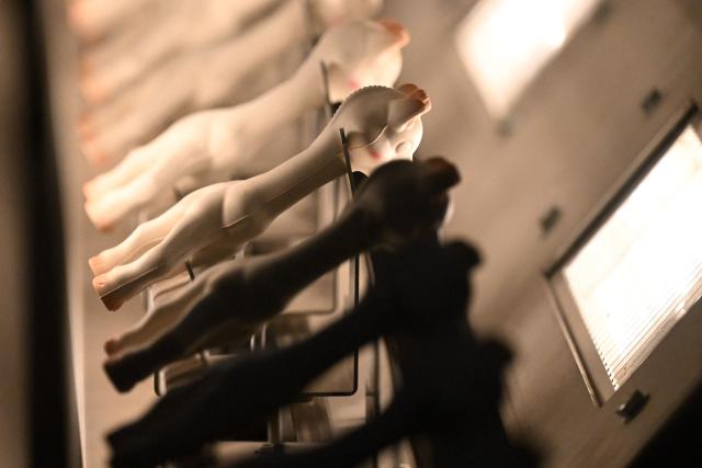 This photograph shows Sophie la girafe (Sophie the Giraffe) toys made by French baby care products and toys company Vulli in the production line of its new production site in Saint-Nabord, north-eastern France, on May 12, 2026. Vulli, which has made "Made in France" its hallmark, has admitted on May 4, 2026 manufacturing giraffe toys in China, as revealed in an investigation by the online media outlet Mediapart, but insists that this is a temporary situation. The French Directorate-General for Competition, Consumer Affairs and Fraud Control (DGCCRF) has launched an investigation as claiming a product to be of French origin when it is not may constitute a misleading commercial practise, punishable by a criminal fine of up to 10% of turnover. (Photo by Jean-Christophe VERHAEGEN / AFP)
