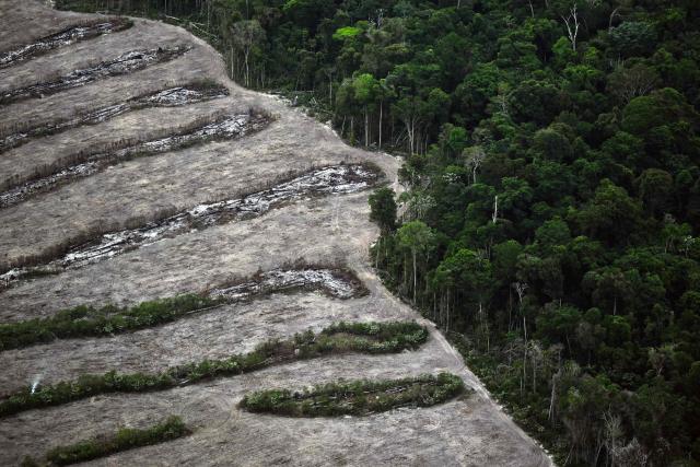 (FILES) This aerial view shows deforested areas in the Amazon rainforest in the municipality of Nova Esperanca do Piria, Para State, Brazil, on November 12, 2025, during the COP30 UN Climate Change Conference. Organized crime in South America is a growing threat to the Amazon rainforest, according to a report published on May 12, 2026, as the encroachment of criminal groups into protected areas fuels violence and sets back environmental preservation in the world's largest tropical rainforest. The report by the International Crisis Group think tank said the search for new drug trafficking routes and illegal mining areas is compelling organized crime rings to expand their reach in the Amazon basin, leading to devastating effects on the environment. (Photo by Mauro PIMENTEL / AFP)