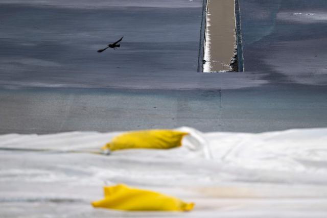 A bird takes flight from the Lincoln Memorial Reflecting Pool as it is being resurfaced in Washington, DC, on May 13, 2026. Workers have been resurfacing the bottom of Washington's famous Lincoln Memorial Reflecting Pool with "American flag blue"-colored material used in swimming pools, following an order by US President Donald Trump. (Photo by Kent Nishimura / AFP)