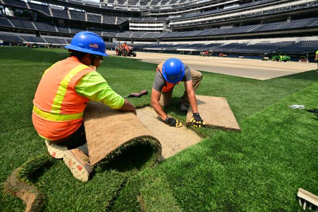Workers install turf on the pitch at SoFi Stadium in Inglewood, California, ahead of its temporary renaming to Los Angeles Stadium for the World Cup on May 13, 2026. The US Men's National Team will play their first 2026 FIFA World Cup match on June 12 against Paraguay. (Photo by Frederic J. Brown / AFP)
