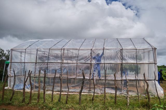 Farm workers drain water from a climate-smart barn at a farm outside Bulawayo on March 12, 2026. A climate-smart tobacco barn is an energy-efficient, sustainable curing facility designed to reduce fuel consumption (wood or coal), lower carbon emissions, and minimise deforestation in tobacco farming. 
Zimbabwe's tobacco crop -- Africa's largest -- has rebounded to record levels, driven by smallholders contracted to mainly Chinese firms and despite concerns about debt, dependence and deforestation.
From 306 million kilogrammes in 2024, production soared to 355 million kg in 2025, according to the Tobacco Industry and Marketing Board. 
A harvest over 360 million kg is expected this year after a 15 percent increase in the planted area. (Photo by Zinyange Auntony / AFP)