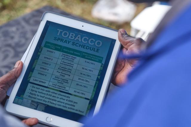 Farmers look on a mobile device during a field day training at a farm outside Bulawayo on March 12, 2026. Zimbabwe's tobacco crop -- Africa's largest -- has rebounded to record levels, driven by smallholders contracted to mainly Chinese firms and despite concerns about debt, dependence and deforestation.
From 306 million kilogrammes in 2024, production soared to 355 million kg in 2025, according to the Tobacco Industry and Marketing Board. 
A harvest over 360 million kg is expected this year after a 15 percent increase in the planted area. (Photo by Zinyange Auntony / AFP)
