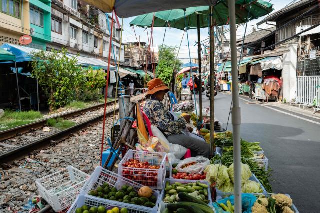 A vegetable vendor waits for customers at her stall next to train tracks at Wongwian Yai Railway Station in Bangkok on May 14, 2026. (Photo by ANTHONY WALLACE / AFP)