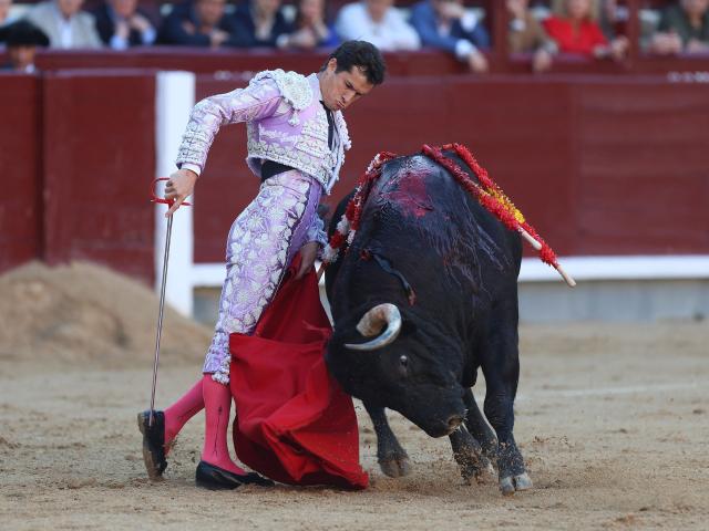 Spanish bullfighter Daniel Luque performs a pass to the bull during a San Isidro Fair bullfight at Las Ventas bullring in Madrid on May 14, 2026. (Photo by ALBERTO SIMON / AFP)