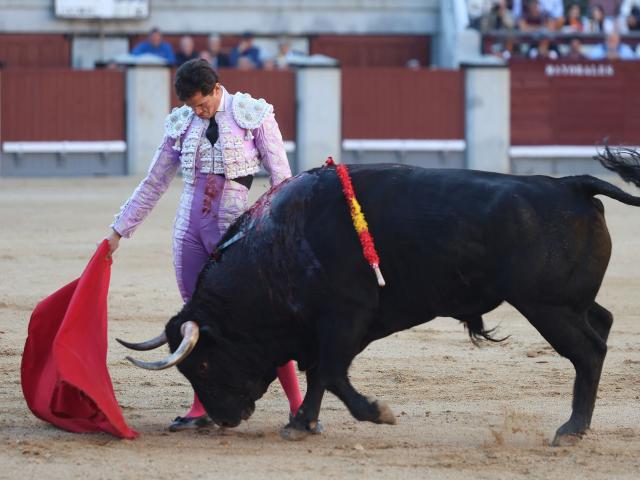 Spanish bullfighter Daniel Luque performs a pass to the bull during a San Isidro Fair bullfight at Las Ventas bullring in Madrid on May 14, 2026. (Photo by ALBERTO SIMON / AFP)