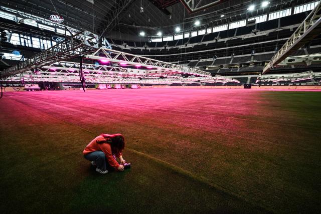 A journalist takes pictures of the field at Dallas Stadium (temporarily renamed from AT&T Stadium for the 2026 FIFA World Cup) with purple lights illuminating the field to promote grass growth, in Arlington, Texas, on May 14, 2026. (Photo by RONALDO SCHEMIDT / AFP)