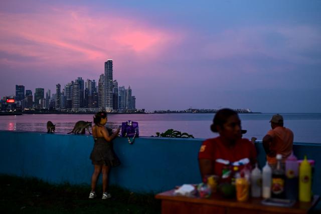 People hang out next to racoons at Cinta Costera in Panama City on May 14, 2026. (Photo by Martin BERNETTI / AFP)