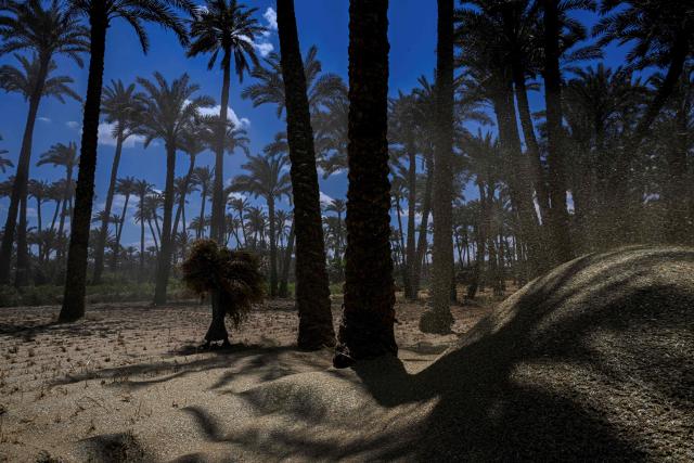 A farmer carries a load of wheat straw after threshing in a field in the village of Maraziq, about 30 kilometres south of Giza, on May 4, 2026. Egyptian smallholders have seen their lives upended by the war in Iran, with soaring fertiliser and energy prices forcing many to lay off workers and reduce the amount of land they farm. Before the United States and Israel launched the war that would end up engulfing the region, Ashraf Abu Ragab cultivated a full acre with a small crew. (Photo by Khaled DESOUKI / AFP)