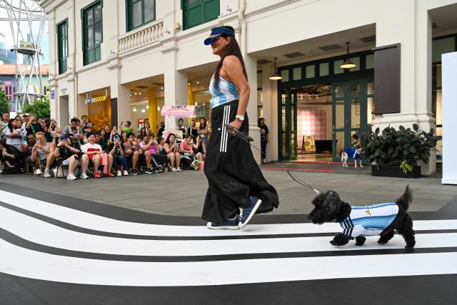 A pet owner walks with their dog wearing a football shirt at a runway show during a media preview of FurKids Fiesta, showcasing Adidas' first pet collection, in Singapore on May 16, 2026. (Photo by Roslan RAHMAN / AFP)