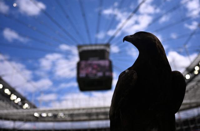 Frankfurt's mascot Attila the Eagle silhouettes against the sky prior to the German first division Bundesliga football match between Eintracht Frankfurt and VfB Stuttgart in Frankfurt am Main, western Germany, on May 16, 2026. (Photo by Kirill KUDRYAVTSEV / AFP) / DFL REGULATIONS PROHIBIT ANY USE OF PHOTOGRAPHS AS IMAGE SEQUENCES AND/OR QUASI-VIDEO