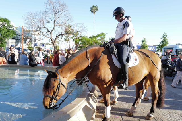 Mounted police water their horses on Placedu General de Gaulle on the sidelines of the 79th edition of the Cannes Film Festival in Cannes, southern France on May 16, 2026. (Photo by VALERY HACHE / AFP)