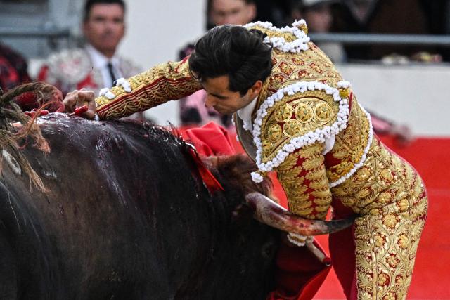 French matador Carlos Olsina is struck by the horn of a bull during the Arles Feria in Ales, southern France, on May 16, 2026. (Photo by Gabriel BOUYS / AFP)