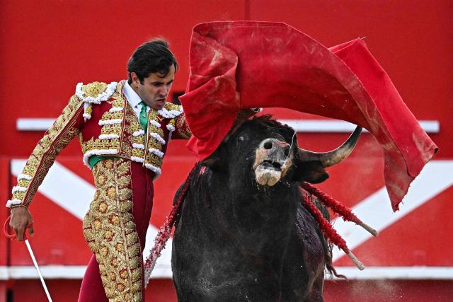 French matador Carlos Olsina performs a pass on a bull during the Arles Feria in Ales, southern France, on May 16, 2026. (Photo by Gabriel BOUYS / AFP)