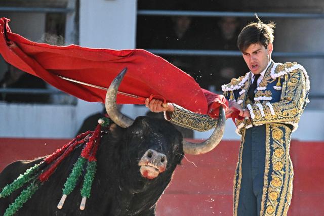 French matador El Rafi performs a pass on a bull during the Arles Feria in Ales, southern France, on May 16, 2026. (Photo by Gabriel BOUYS / AFP)